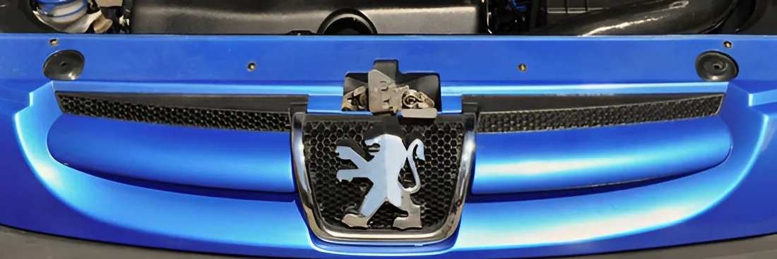 Peugeot Service 1
