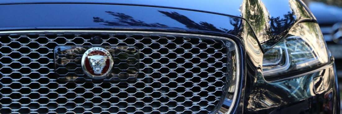 Jaguar Service 1